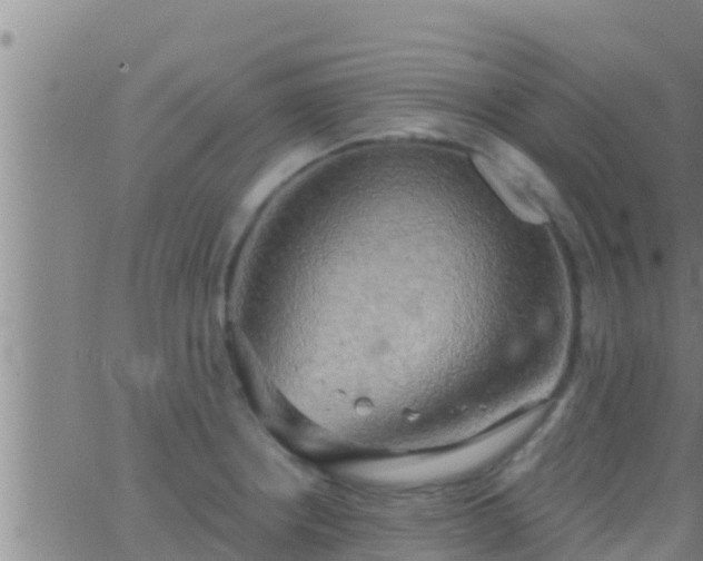 X0000063531234200601271853