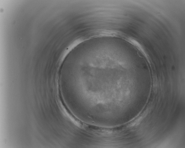 X0000063531235200601271853