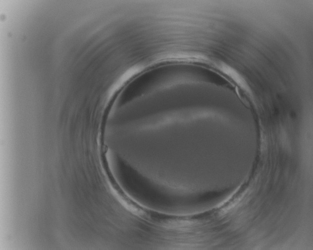 X0000063531237200601271853