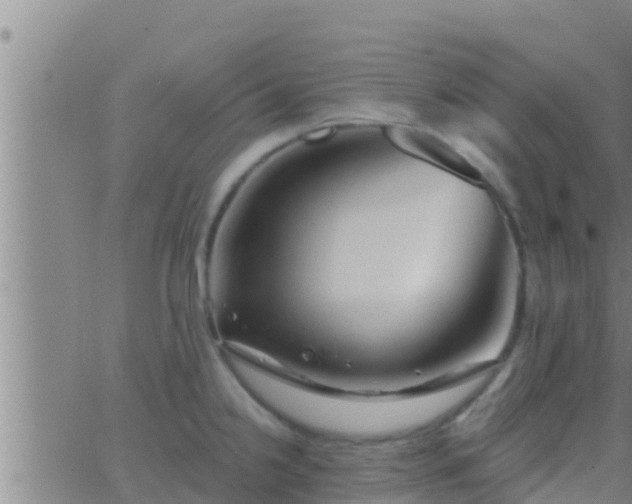 X0000063531238200601271853