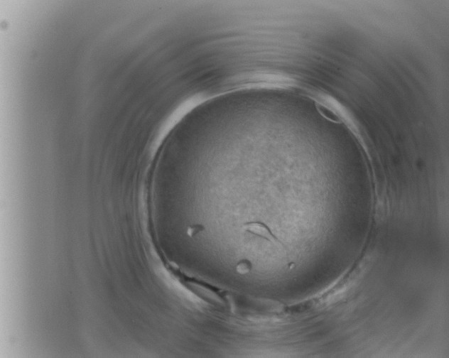 X0000063531243200601271853