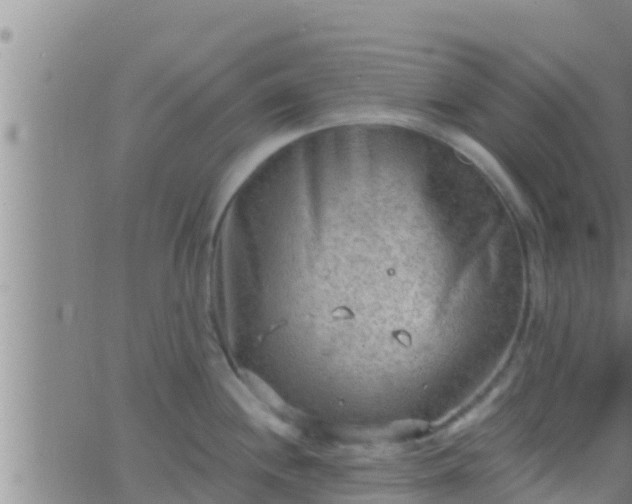 X0000063531244200601271853