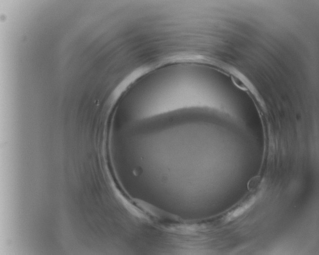 X0000063531245200601271853