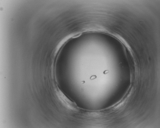 X0000063531246200601271853