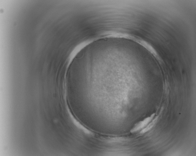 X0000063531247200601271853