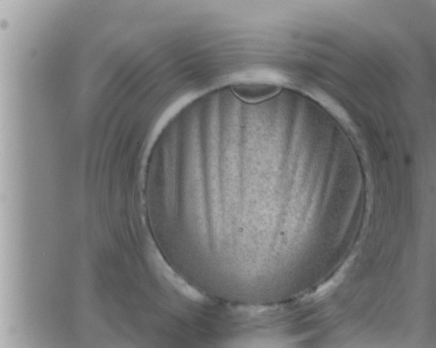 X0000063531248200601271853