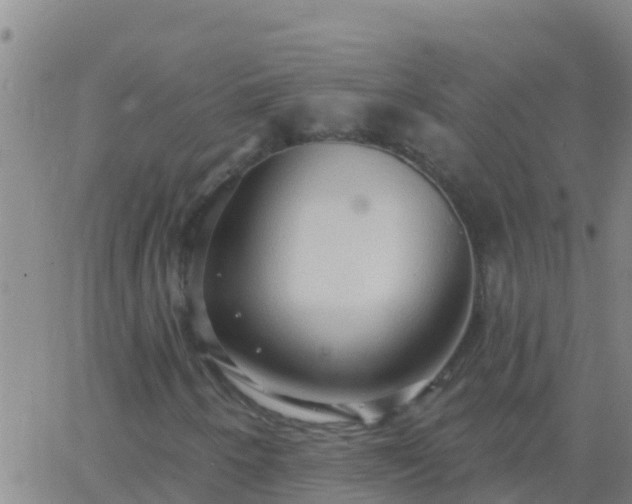 X0000063531250200601271852