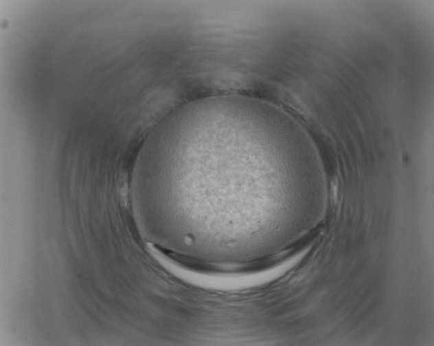 X0000063531251200601271852