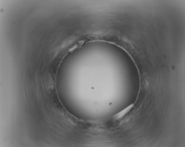 X0000063531253200601271852