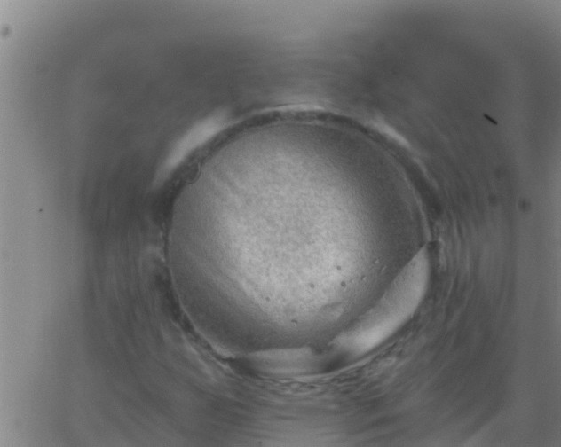 X0000063531255200601271852