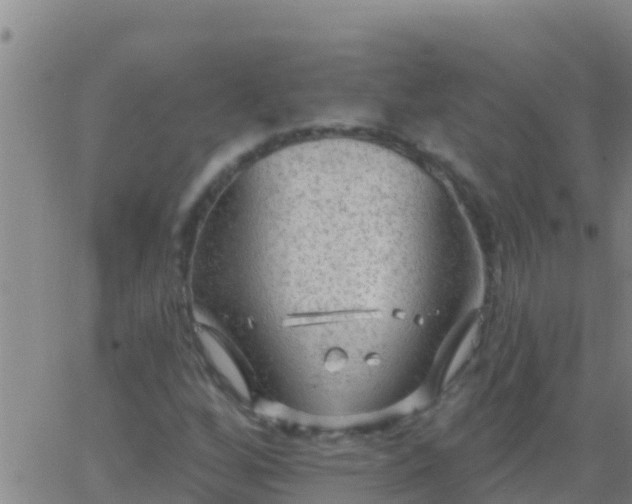 X0000063531256200601271852