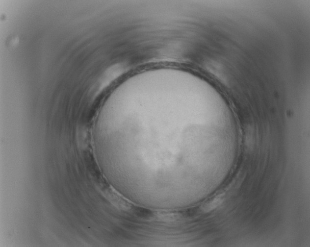 X0000063531258200601271852