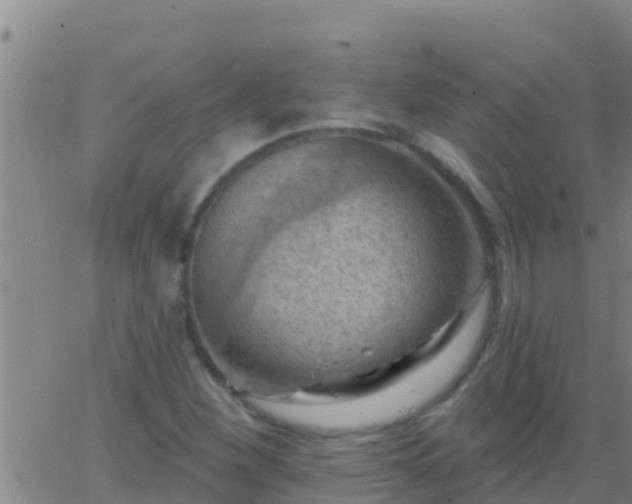 X0000063531260200601271852