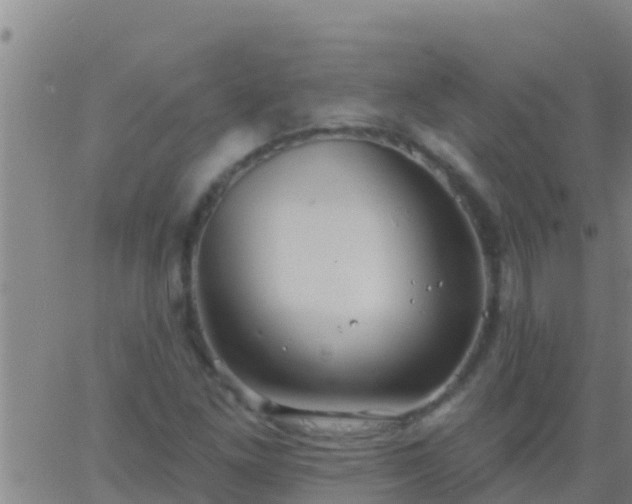 X0000063531261200601271852