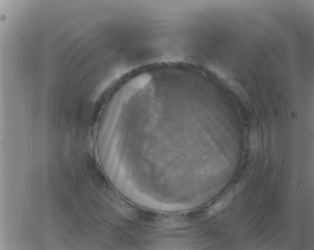 X0000063531262200601271852