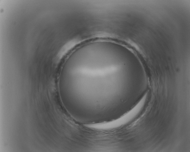 X0000063531263200601271852