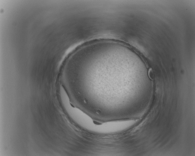 X0000063531264200601271852