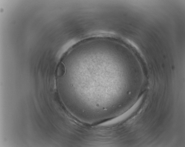 X0000063531267200601271852