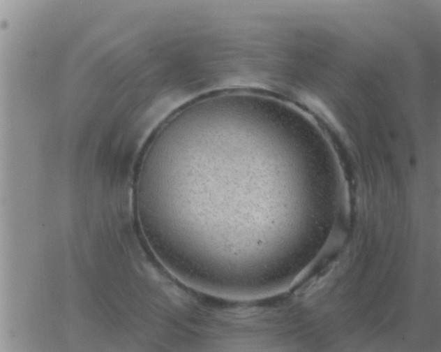 X0000063531268200601271852