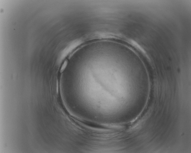 X0000063531269200601271852