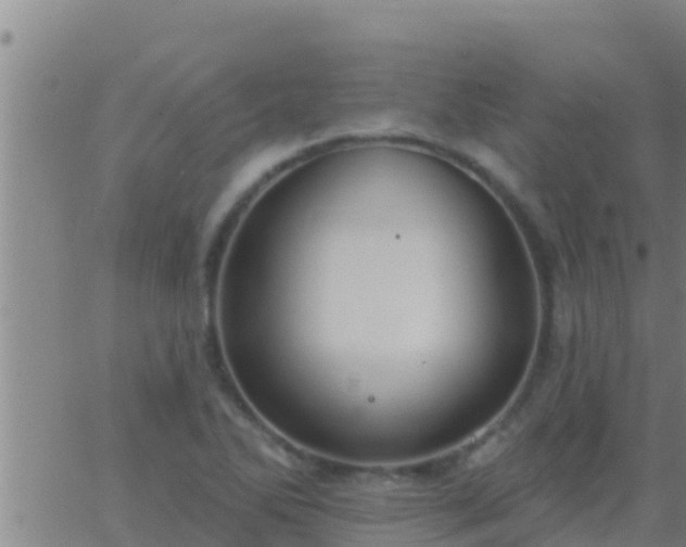 X0000063531270200601271852