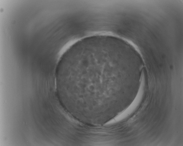 X0000063531271200601271852