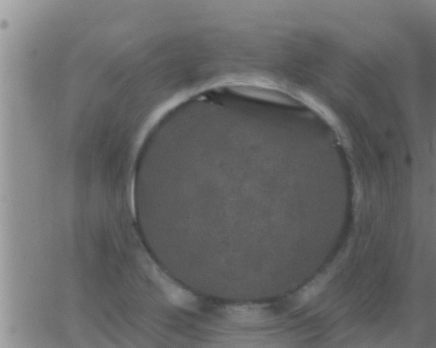 X0000063531272200601271852