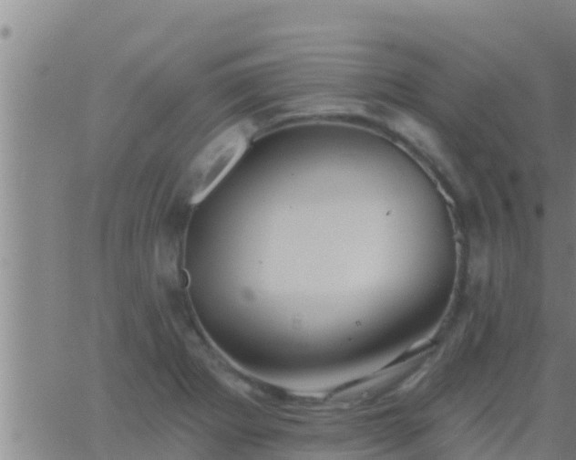 X0000063531273200601271852