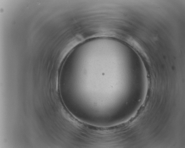 X0000063531276200601271852