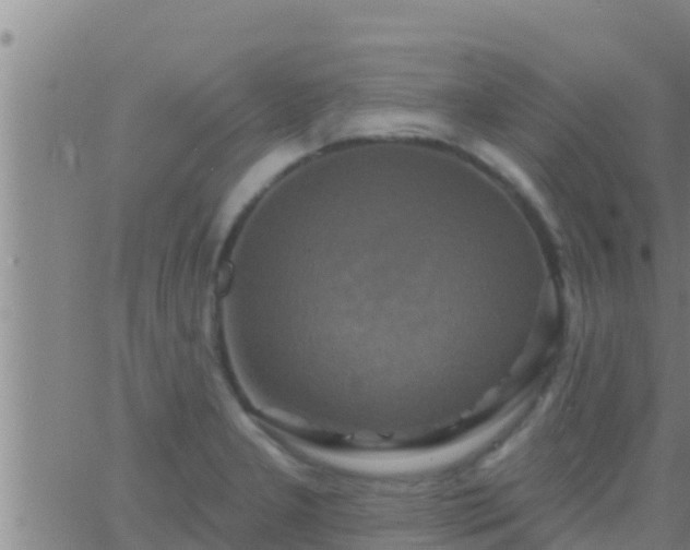 X0000063531277200601271852