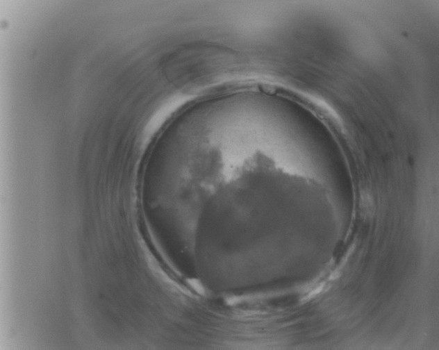 X0000063531279200601271852