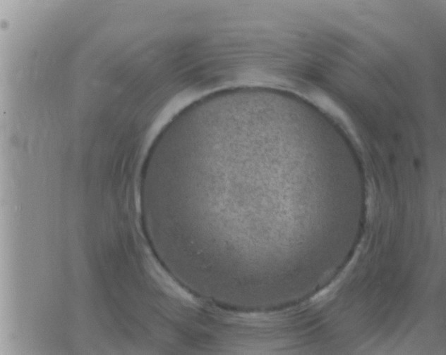 X0000063531280200601271852