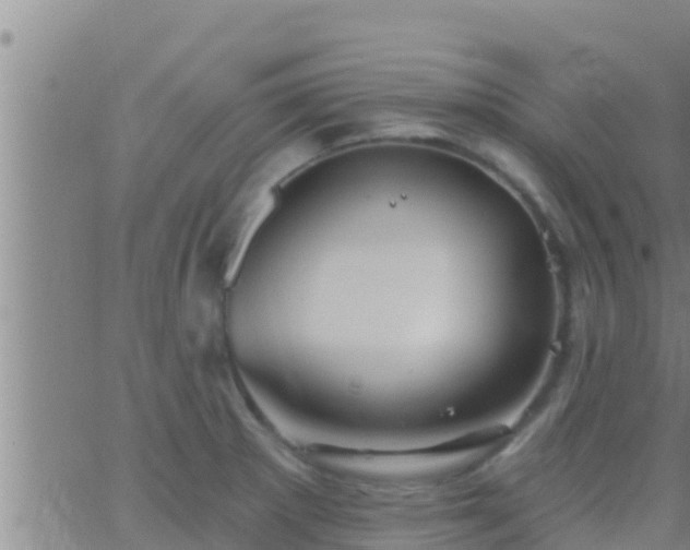 X0000063531281200601271852