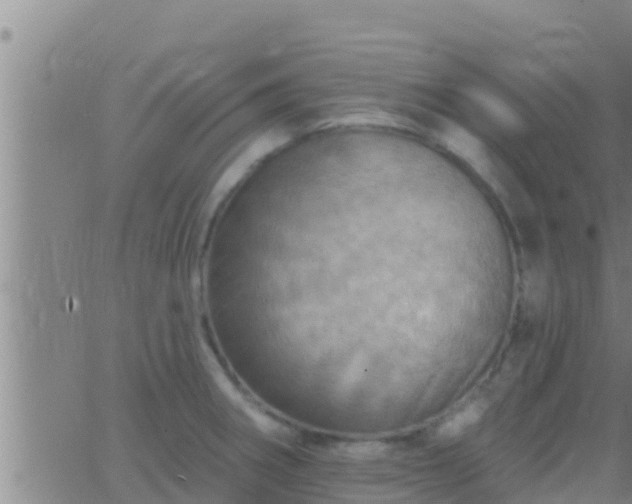 X0000063531282200601271852