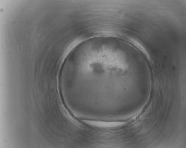 X0000063531283200601271852