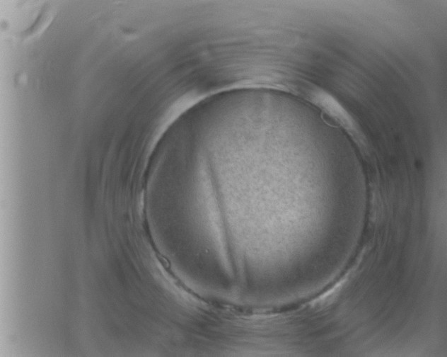 X0000063531284200601271852