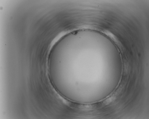 X0000063531286200601271852