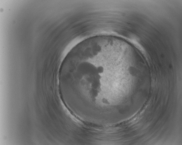 X0000063531287200601271852