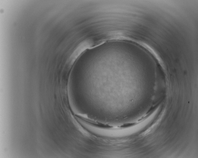 X0000063531289200601271852