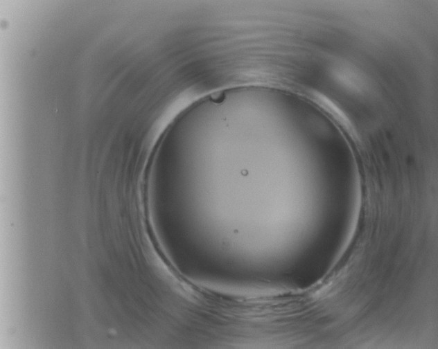 X0000063531291200601271852