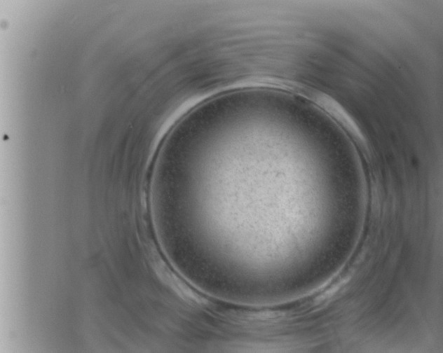 X0000063531292200601271852