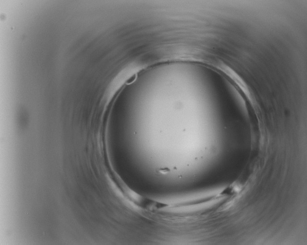 X0000063531293200601271851