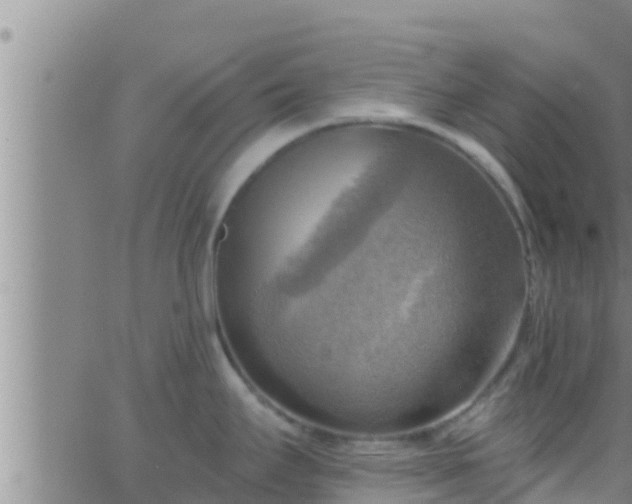 X0000063531295200601271851