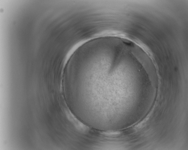 X0000063531296200601271851