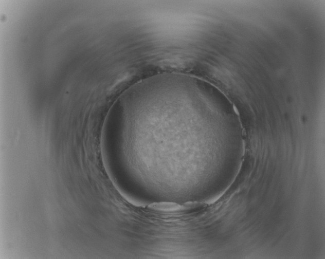 X0000063531297200601271851