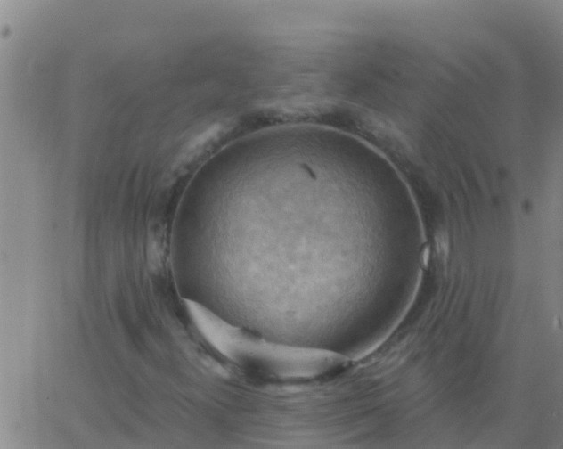 X0000063531300200601271851