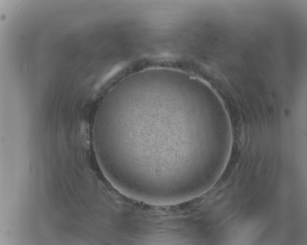 X0000063531301200601271851