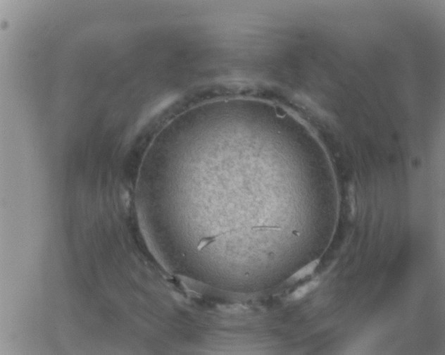 X0000063531302200601271851