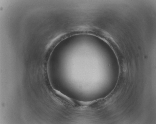 X0000063531304200601271851