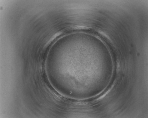 X0000063531305200601271851